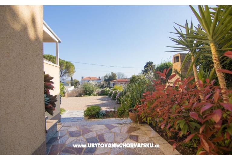 Appartements City Center Dekanic – foto 7