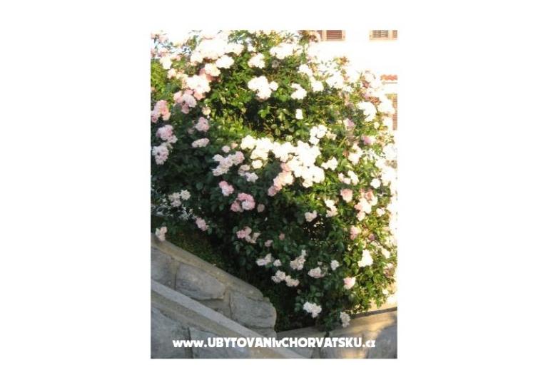 Appartements Iva&amp;Ivan – foto 2