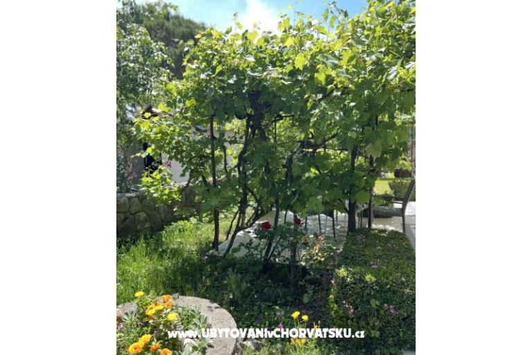 Appartements Matea – foto 22