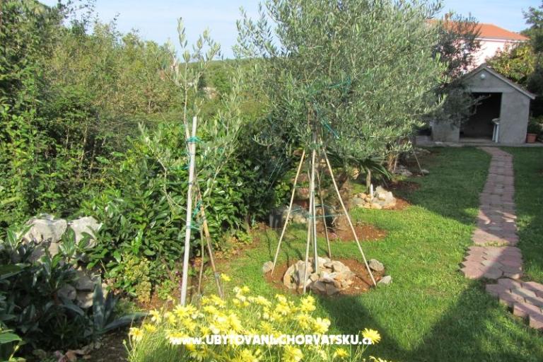 Appartements Perišić – foto 16