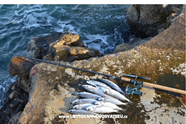 Appartements Petković – foto 12