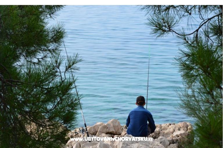 Appartements Petković – foto 17