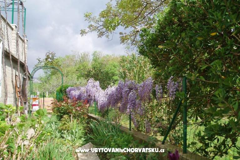 Appartements Petra – foto 5