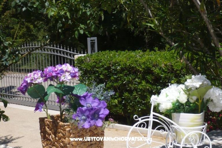 Appartements Zana – foto 13