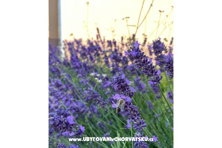 Maison de vacances Bepina – foto 22