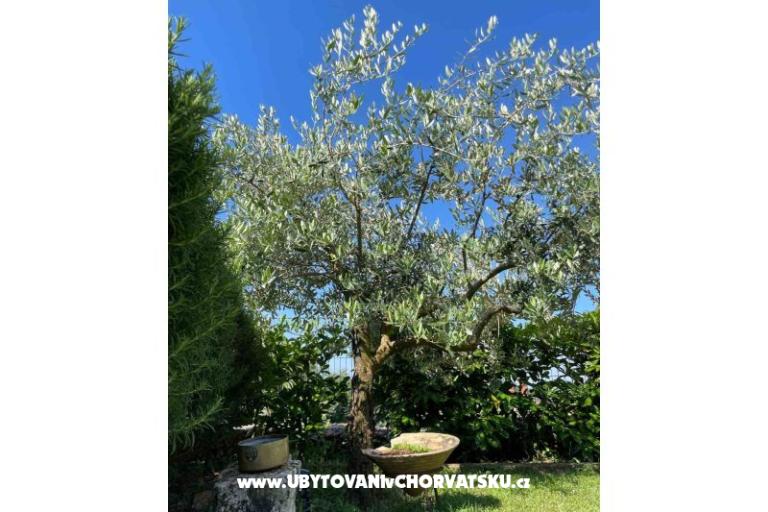 Maison de vacances Bepina – foto 23