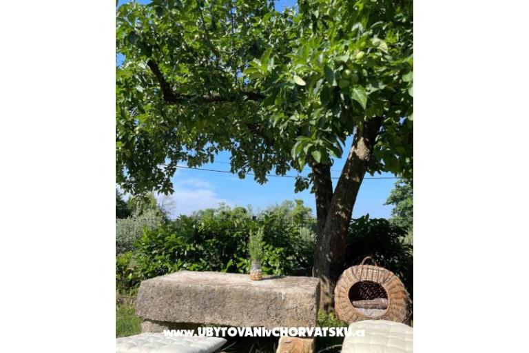 Maison de vacances Bepina – foto 24