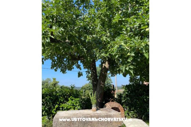 Maison de vacances Bepina – foto 27