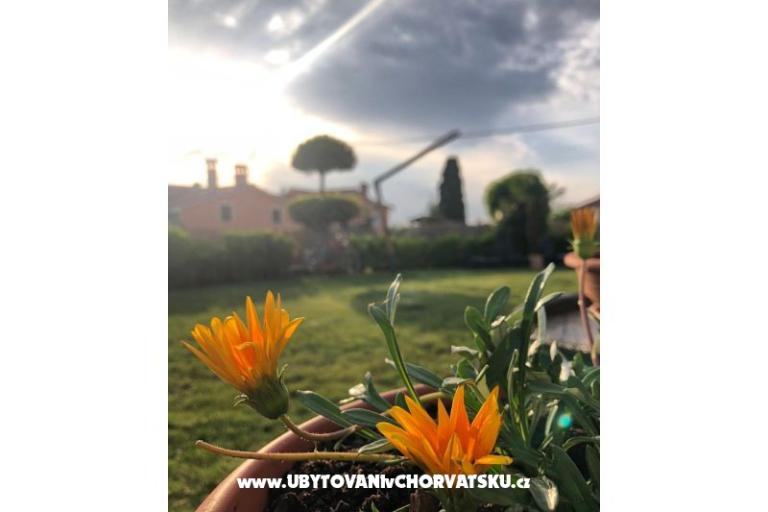 Maison de vacances Bepina – foto 29
