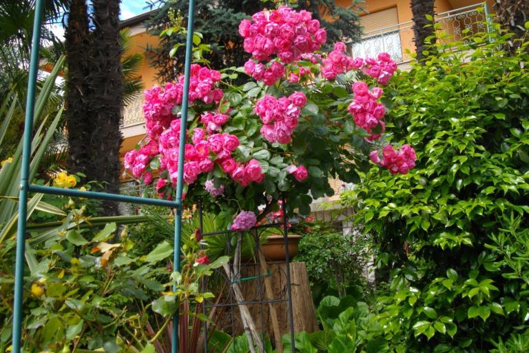 Appartement Ines – foto 2