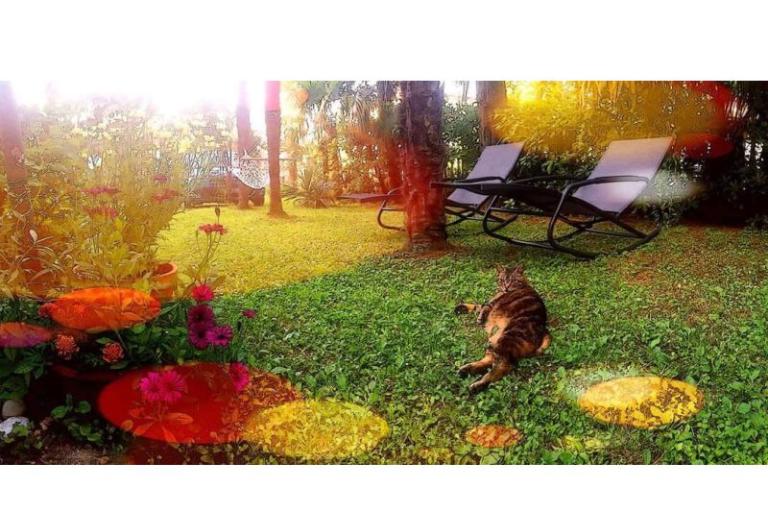 Appartements Villa Adelina – foto 15