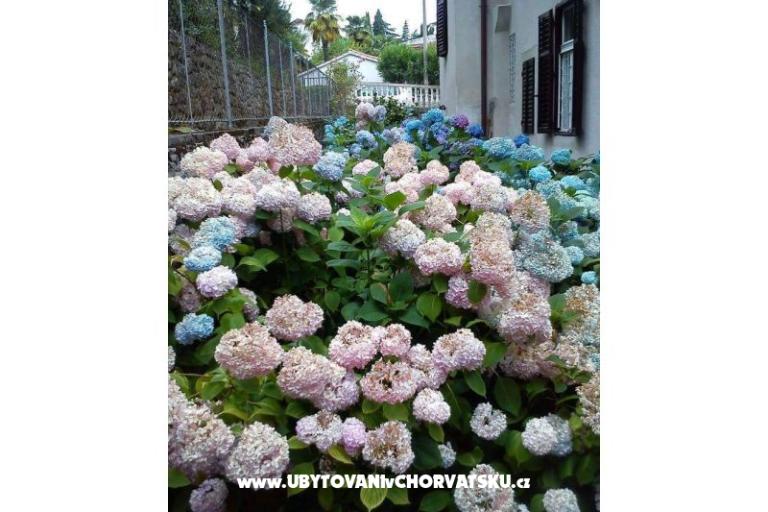 Appartements Villa Adelina – foto 18