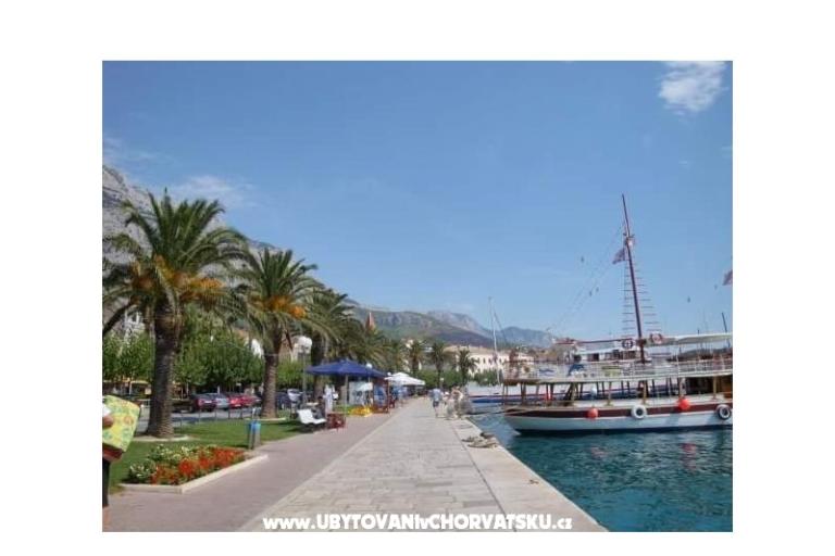 Appartement Andrijašević – foto 12