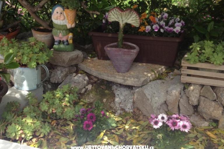 Appartement Lilly – foto 12
