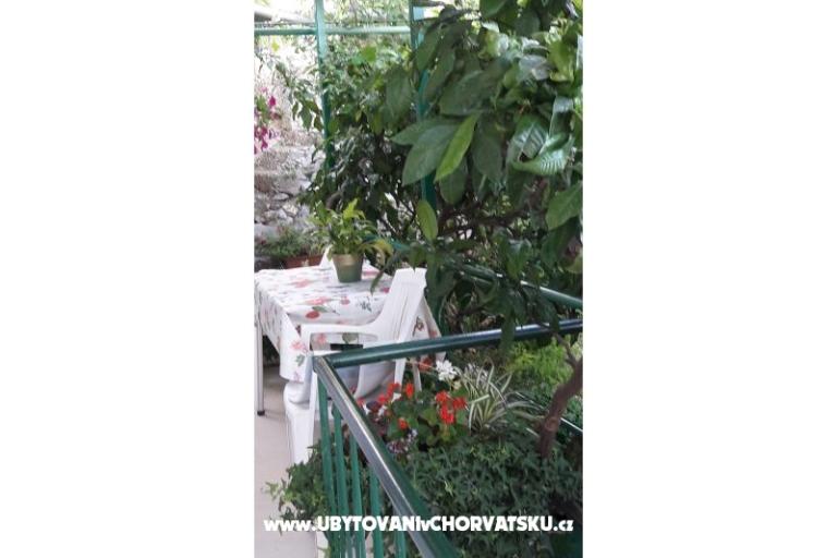 Appartement Olga – foto 11