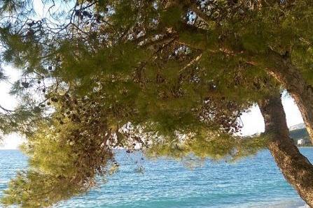 Appartements Barbir – foto 8