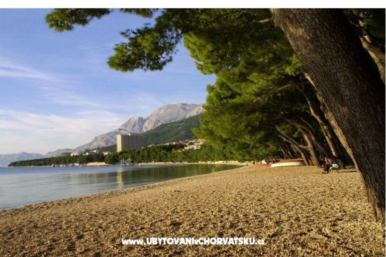 Appartements IVO – foto 3