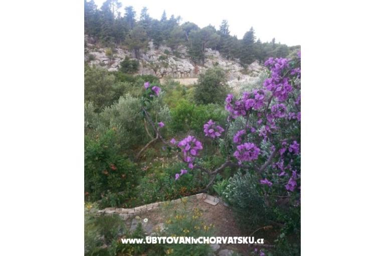 Appartements Rubinić – foto 15