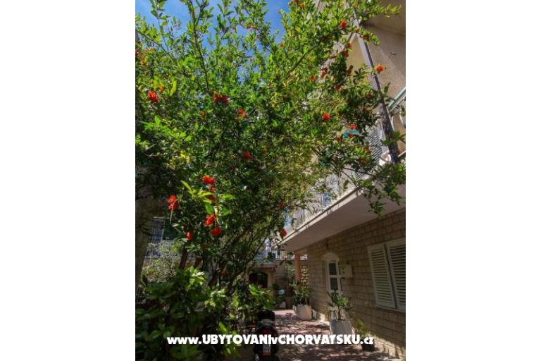 Appartements A&amp;B – foto 16
