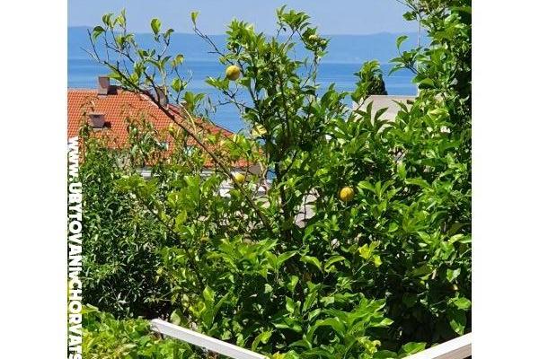 Appartements Sani – foto 18