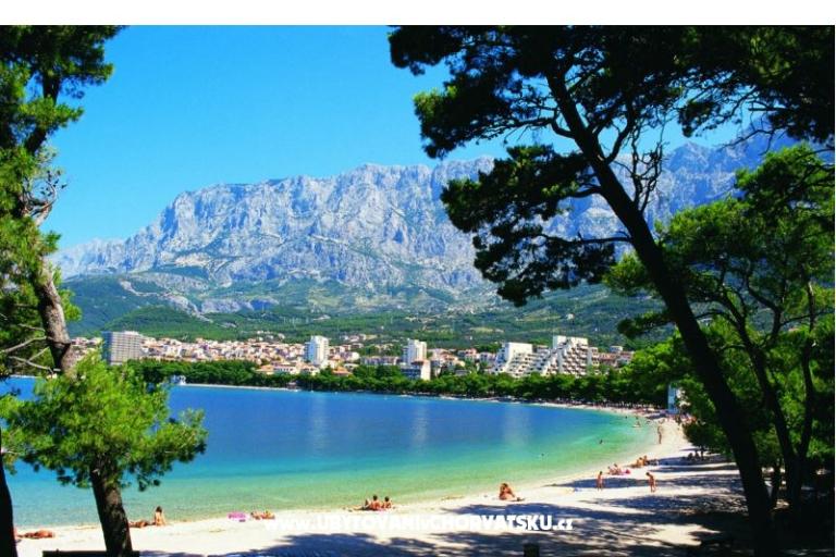 Maison Erceg – foto 14