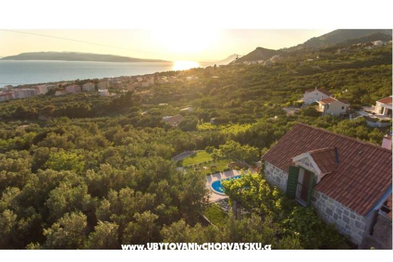 Rustic Oliveto – foto 6