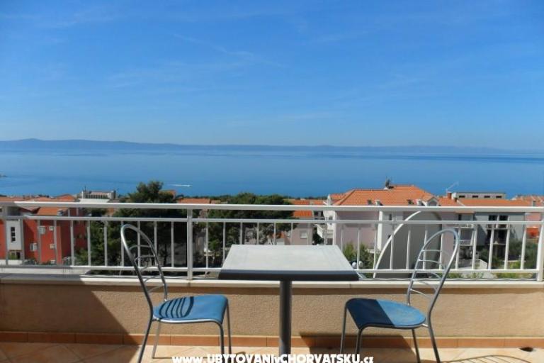 Villa Botanika – foto 8