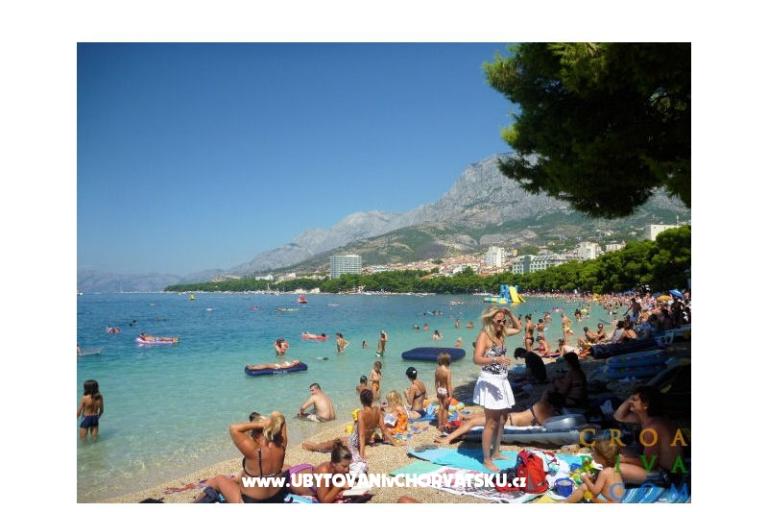 Villa Orhideja – foto 6