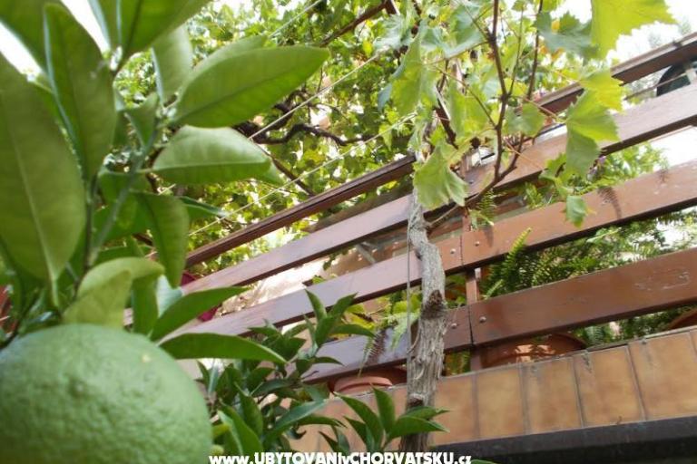 Appartements  Vodarić – foto 7