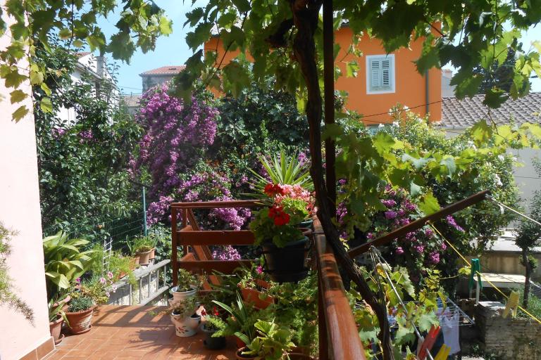 Appartements  Vodarić – foto 8