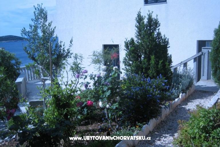 Appartements Punta  – foto 5