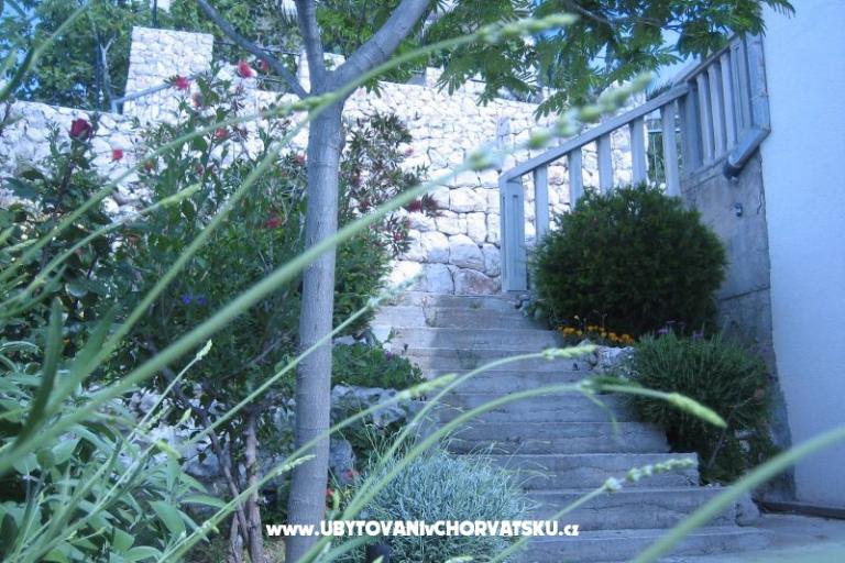 Appartements Punta  – foto 9