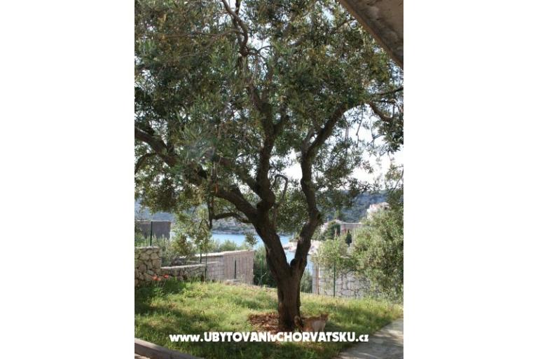 Appartements Sevid Nikša i Lucija – foto 15