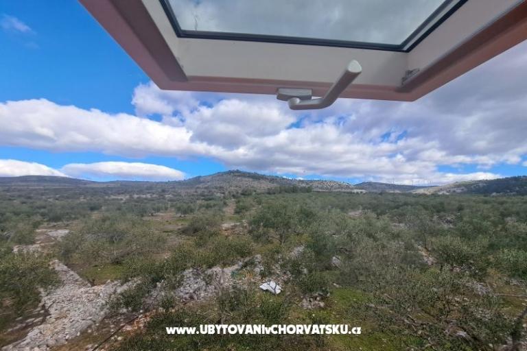 Green Maison (Dogs are welcome) – foto 7
