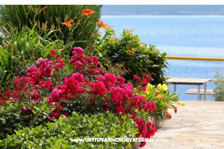 Appartements Mare – foto 17