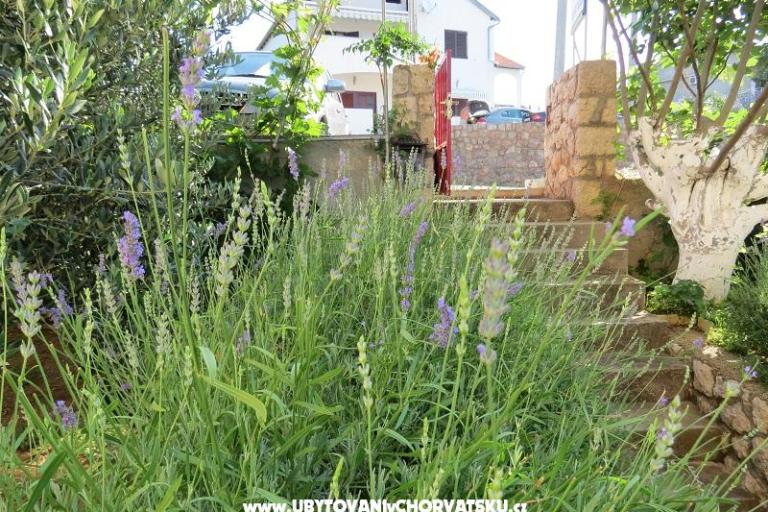 Appartements Marija – foto 11