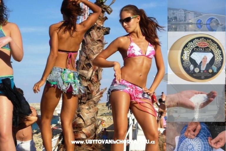 Central Appartement with Balcony – foto 15