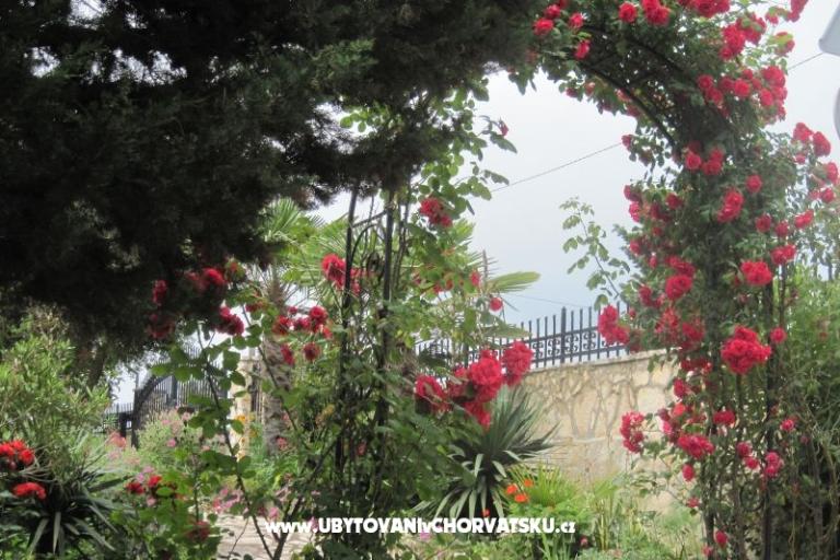 Alex 1 i Alex 2 – foto 9