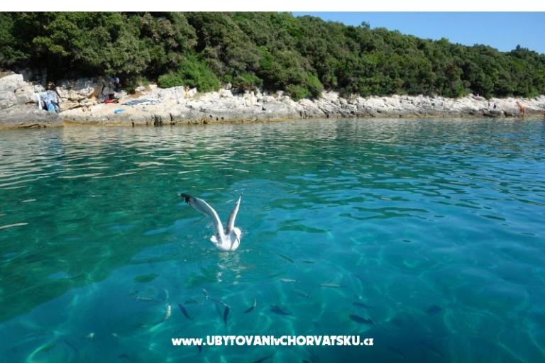 Appartements Ciceran – foto 16