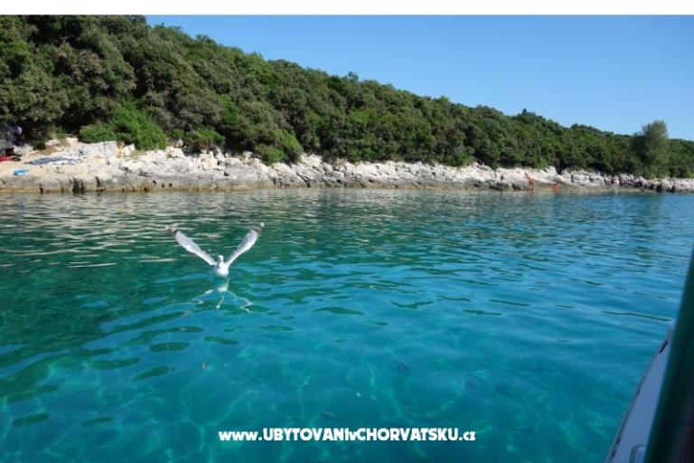 Appartements Ciceran – foto 30