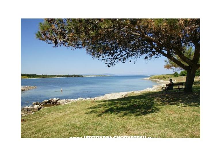 Appartements Tena – foto 6