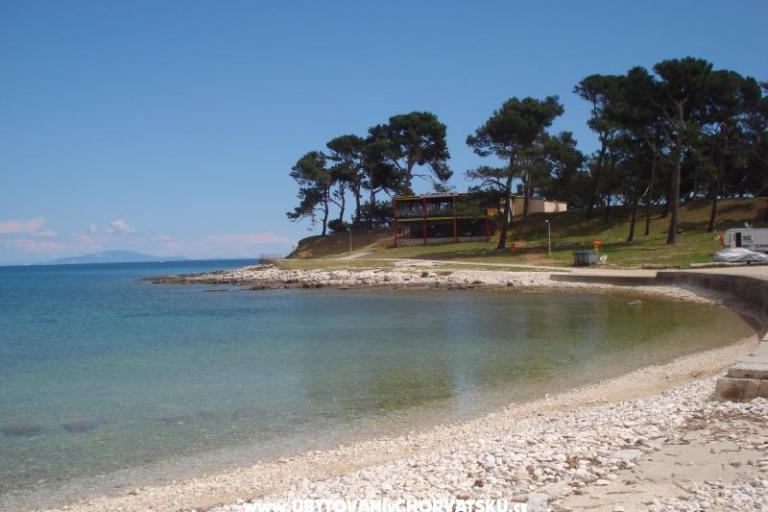 Villa Orange – foto 12