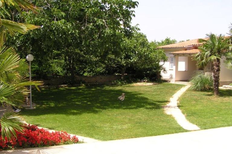 Appartements Paloma blanca - Oaza Reg – foto 10