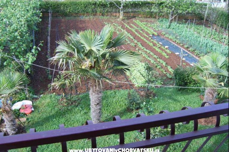 Appartements Zova – foto 8