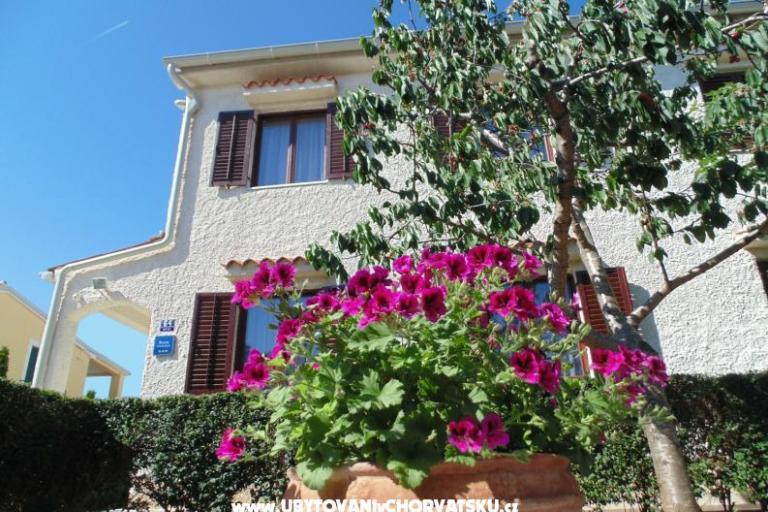 Appartements Regi – foto 2