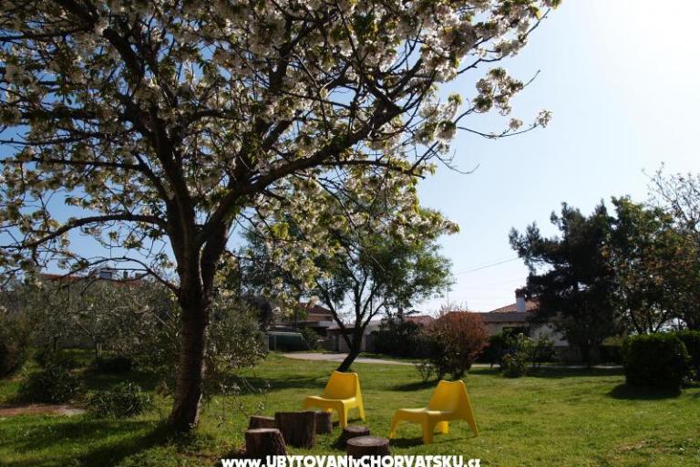 Comtemporary Appartement – foto 15