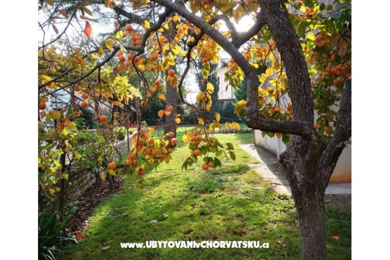 Flowers Appartement Medulin, Fucane 2 – foto 4