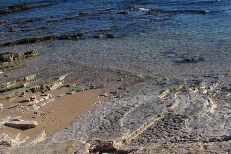 Maison Oliva – foto 2