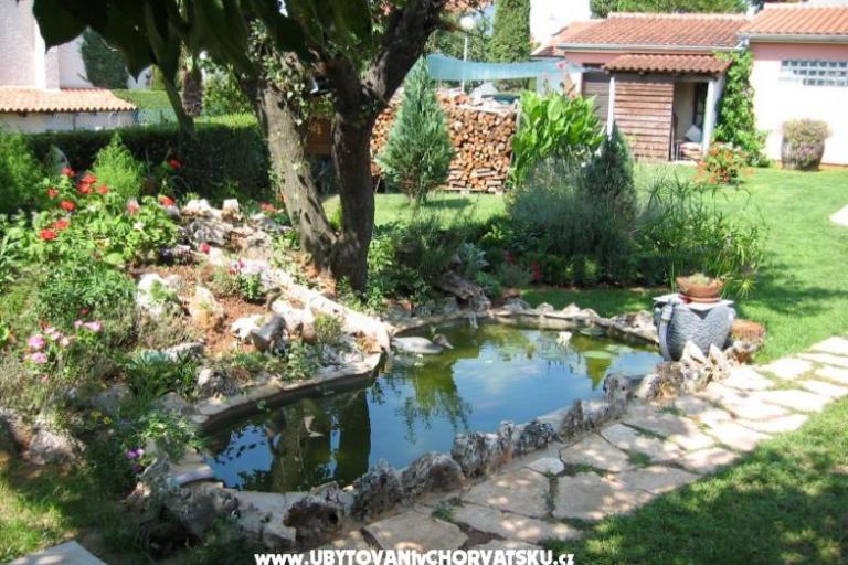 Maison Jolanda – foto 10