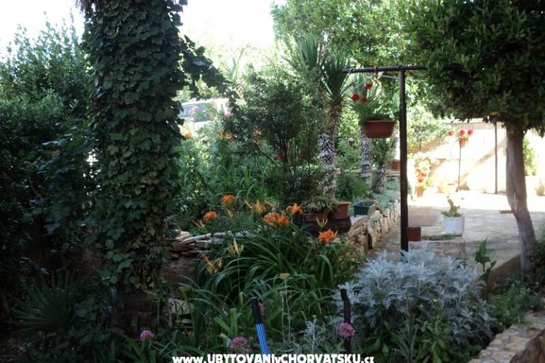 Maison Pacic – foto 14